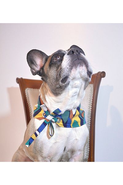 minart design MODERN COLORS TIE-UP BANDANA FOR CAT AND DOGS