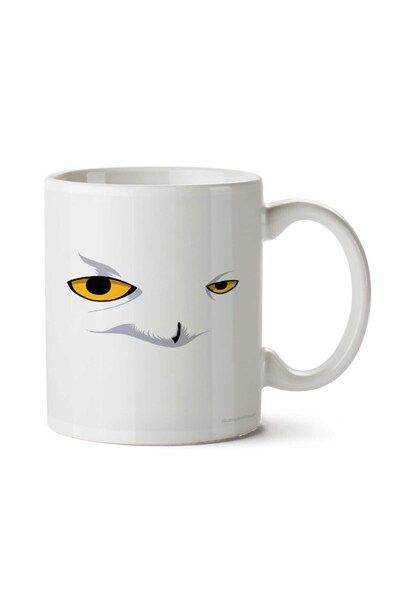 ART HEDİYE Snowy Owl Two Sided Printed Mug