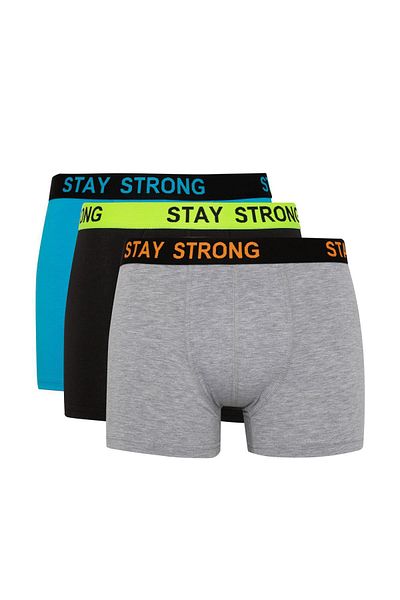 DeFacto Regular Fit 3-pack Boxer B7887ax24sm