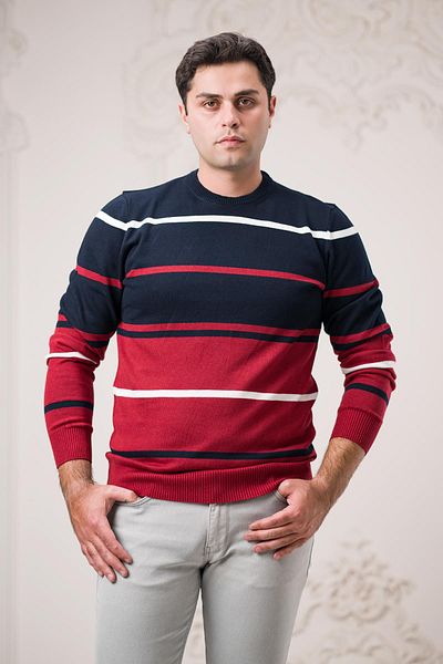 Dorss Slimfit Crew Neck Striped Cotton Men's Sports Sweater
