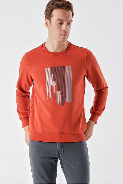 AKÇAYLAR Slimfit Crew Neck Front Printed 2 Thread Men's Sweatshirt