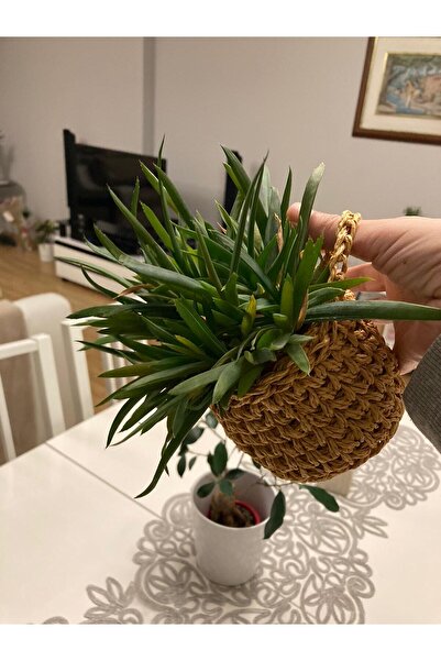 Süs Dükkanı Διακοσμητικό Μοντέλο Τοίχου και Καλαθιού Ειδικού Σχεδιασμού