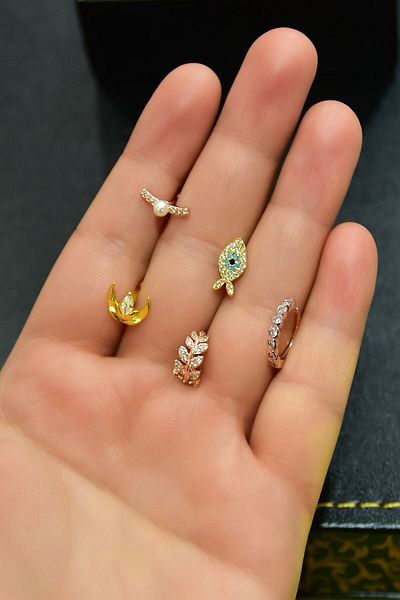 Sinsirella Steel Three-Colored 5-Piece Combination Tragus Earrings Model3