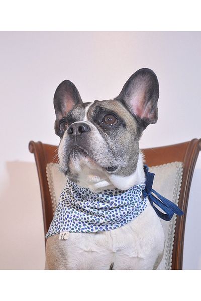 minart design BLUE GREEN DOT TIE-UP BANDANA FOR CAT AND DOGS