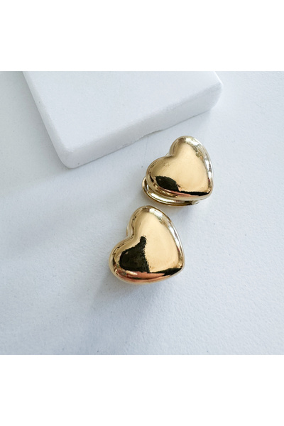 CHARMLUCKY Steel heart earrings