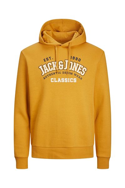 Jack & Jones Kapuzensweatshirt Logo2 Col Hoodie mit Kapuze