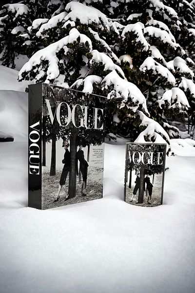 Saccura Decor Vogue Tree Mannequin Figured 2-Piece Decorative Book Box & Cylinder Box Set