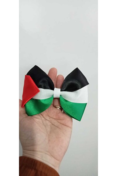 shopland Filistin Temalı El Yapımı Büyük Boy Tekli Klips Toka (13CM)