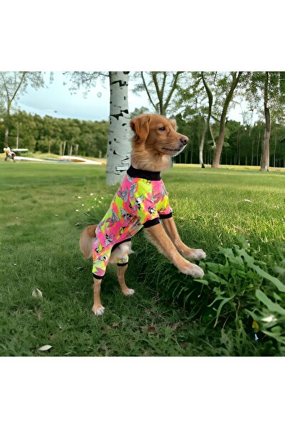 Barneystore Kedi köpek penye tulum