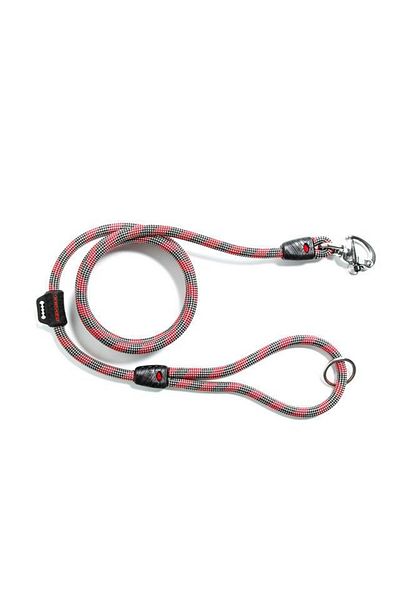 Ezydog Sea Leash