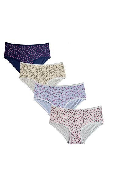 daniella Women's Plus Size Panties 4-Piece