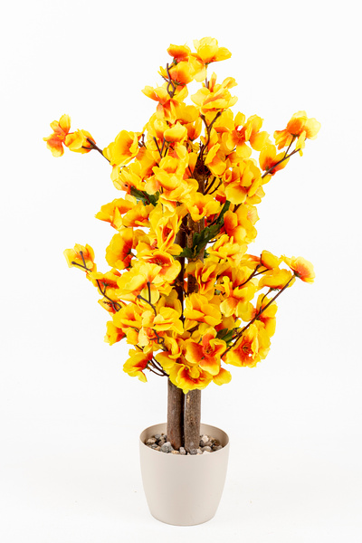 YAPAY ÇİÇEKÇİNİZ BEYAZ SAKSIDA YOĞUN YAPRAKLI 60 CM YAPAY BAHARDALI AĞACI