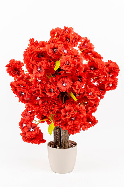 YAPAY ÇİÇEKÇİNİZ BEYAZ SAKSIDA YOĞUN YAPRAKLI 60 CM YAPAY BAHARDALI AĞACI