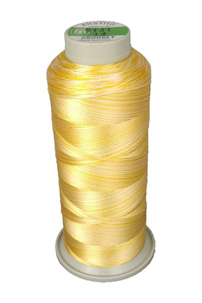 Enstitü İplik Machine Embroidery Thread Marbled (flush-artificial Silk) 150x2 Ply 5131-2500m