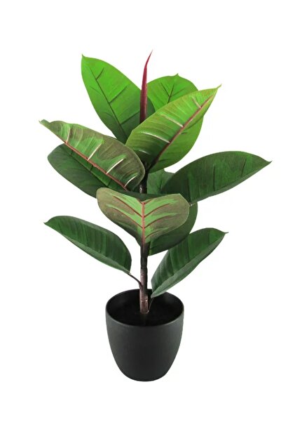 RUZGARCİCEK Rüzgar Yapay Çiçekçilik 75 cm Kauçuk Ağacı