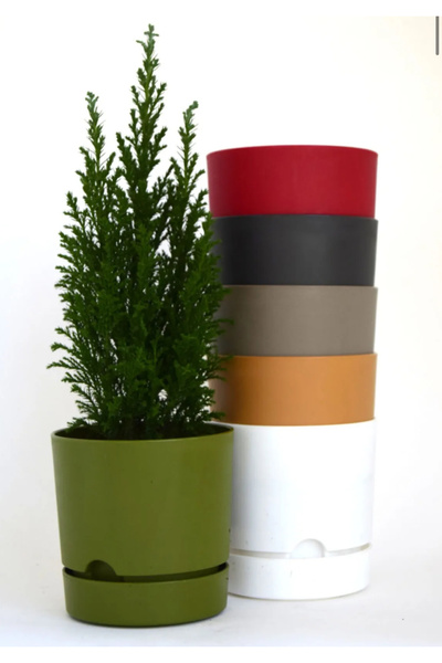 seazde POLİWORK Begonya Tasarım S.kahve Renkli 0.95 Lt Özel Altlıklı Saksı