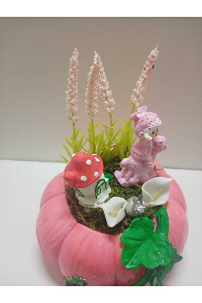 Decorium Yeni Doğan Kız Bebek Aramıza Hoş Geldin Hediyesi Kabak Teraryum