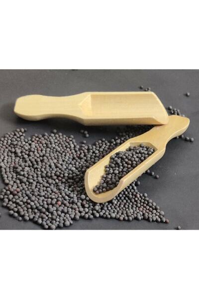 ToMorza 12 Pieces Mini Shovel Spice Spoon.Tea