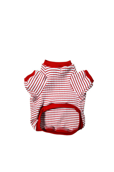 atelyu kedi köpek kıyafetleri ince kazak