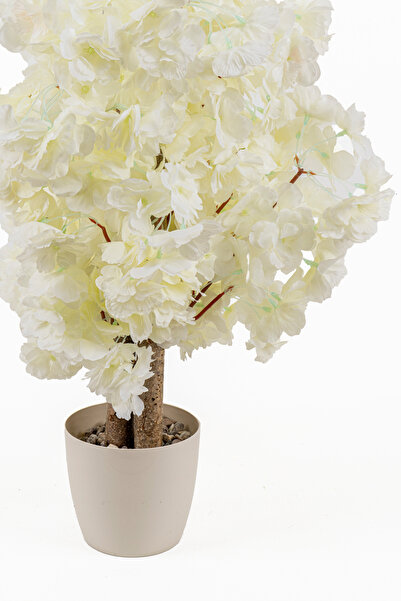 YAPAY ÇİÇEKÇİNİZ BEYAZ SAKSIDA YOĞUN YAPRAKLI 60 CM YAPAY BAHARDALI AĞACI