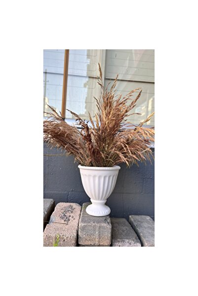 WAMMOLDS Kaideli Büyük Saksi Silikon Kalıp