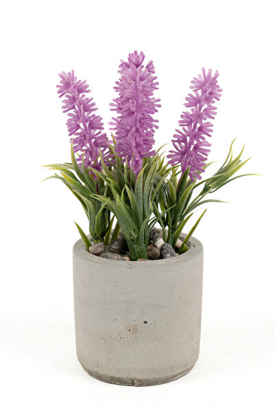 YAPAY ÇİÇEKÇİNİZ ΤΕΧΝΗΤΟ ΣΥΣΚΕΥΑΣΙΑ ΛΑΒΑΝΤΑΣ ΡΟΖ ΧΡΩΜΑΤΟΣ ΣΕ ΓΚΡΙ ΜΠΕΤΟΝΟΥ ΚΑΤΣΑΡΙΔΑ