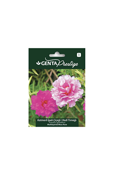 HOME GARDEN Genta Katmerli İpek Çiçeği/Kedi Tırnağı