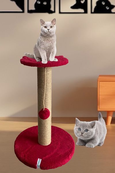Nursoft Cat Scratching Board with Steps Red