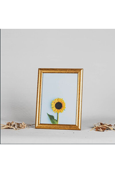 Serita 15 X 21 Cm Fotoğraf, Resim, Belge, Evrak, Poster Çerçevesi Ayarlanabilir Ayaklı