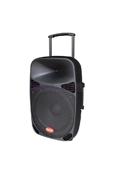 Baretone Max-12mhwr Taşınabilir Hoparlör,2 Xkablosuz Mikrofon,mp3,bt