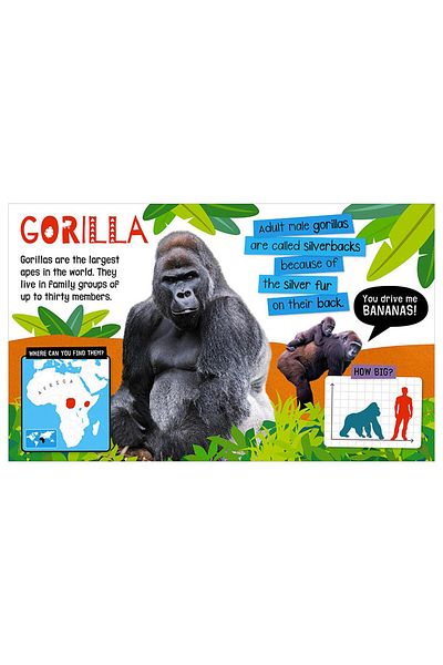 Make Believe Ideas My Awesome Jungle Book