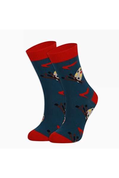 TARÇIN Renkli Unisex Çorap Palet
