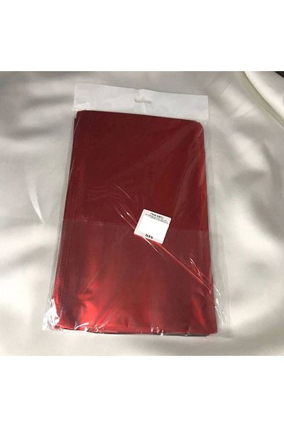 bisaccia 20x25 CM - 1 Pack (50 PCS) RED Color THICK GIFT PACKAGE METALLISED RED Bag with Tape
