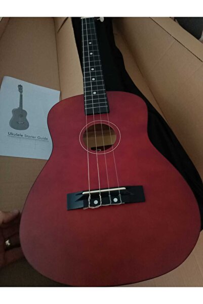 Karin ROGNE-CARIN Claret Red Matte CİLA BARETON WITH CASE AND PENA GIFT