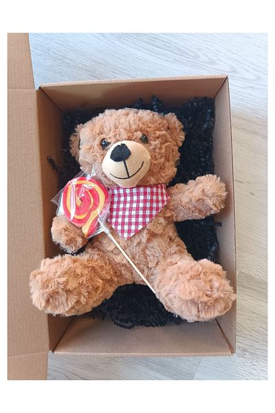 Nostalji Kutusu Candy Toy Plush Bear 25 cm & Design Card Happy Gift Box