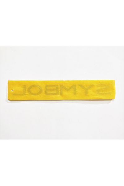 REPLAX Renault Symbol Arma Luggage Letter Sticking 25.3cmx2.7cm 5297