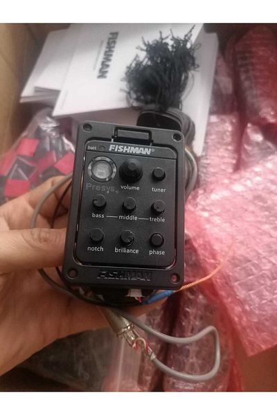 Fishman FİSHMAN PSY-201 INSTRUMENT EQUALIZER SET