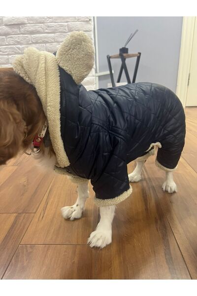 ROZALLİNİ KIŞLIK KÜÇÜK VE ORTA IRKLAR İÇİN KÖPEK MONTU