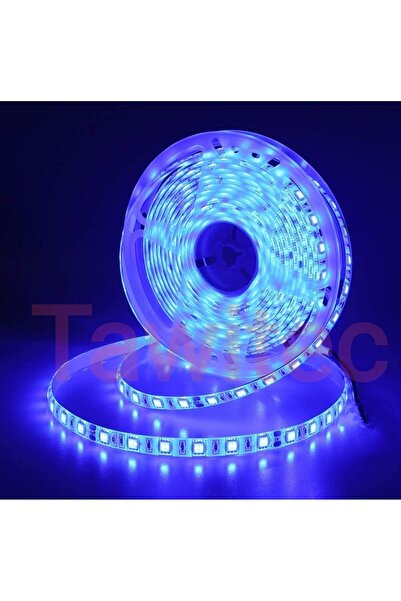 Mgn 3 ÇİPLİ DIŞ MEKAN ( SİLİKONLU ) 60LED 12V 5 METRE MAVİ