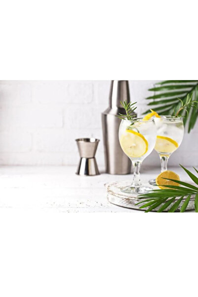 FAYA HOME Pasabahce Bistro 12 Grain Footed Water Soft Drink Red White Wine Goblet and Cup 290Cc