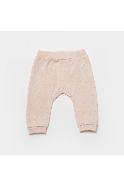 Biorganic Koala Jungle 2 Piece Baby Set 59776