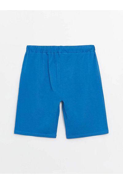 LC Waikiki LCW ECO Standard Fit Men's Pajama Bottom Shorts