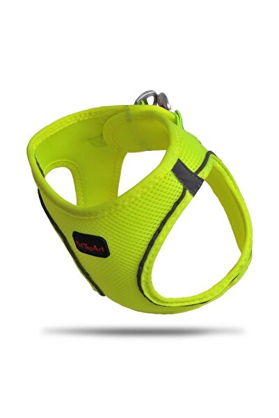 Pet Tag Art Pettagart شبكة الهواء النيون الأصفر طوق الصدر
