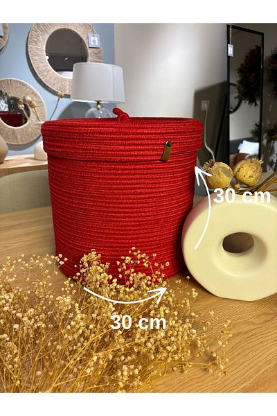 MaVaux Victor 30X30 Medium Size - Multi-Purpose Lid Basket and Flower Pot Organizer