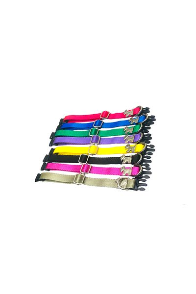 Dino Pet Butik Aksesuar Dog figure neck collar