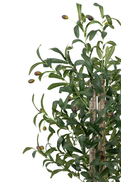YAPAY ÇİÇEKÇİNİZ Siyah Saksıda 100 Cm Yapay Zeytin Ağacı