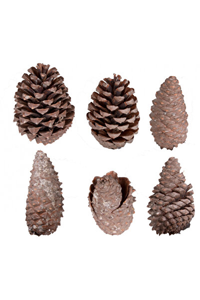 Herdekora Pachet de 6 conuri 8 - 13 cm