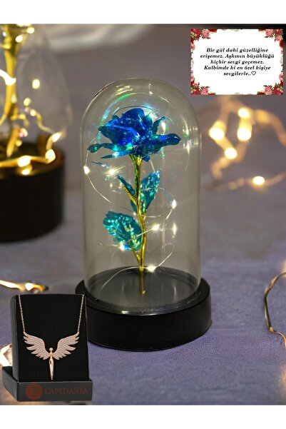 Lapidaria Fanus İçerisinde Dekoratif Peri Led Işıklı Mavi Solmayan Sonsuzluk ...