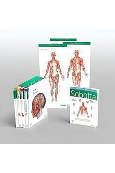 Elsevier Sobotta Atlas of Anatomy, Package, 16th ed., English - Kolektif