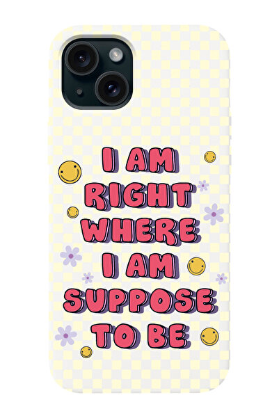 shoptocase Iphone 15 PLUS Uyumlu Dama Smile Desenli Lansman Telefon Kılıfı